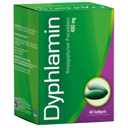 DYPHLAMIN 480 MG 60 CAPS HEALTHY