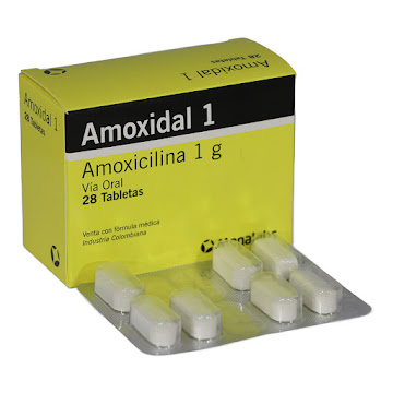 AMOXIDAL 1 GRAMO 28 TABLETAS