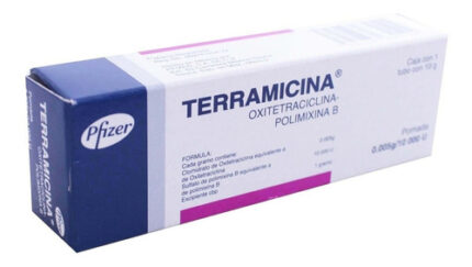 TERRAMICINA UNGUENTO OFTALMICO 10 GR